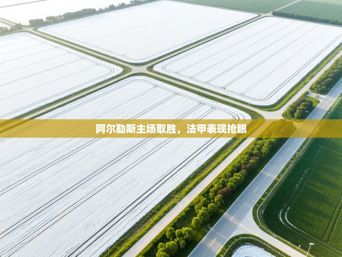 阿尔勒斯主场取胜，法甲表现抢眼  第1张