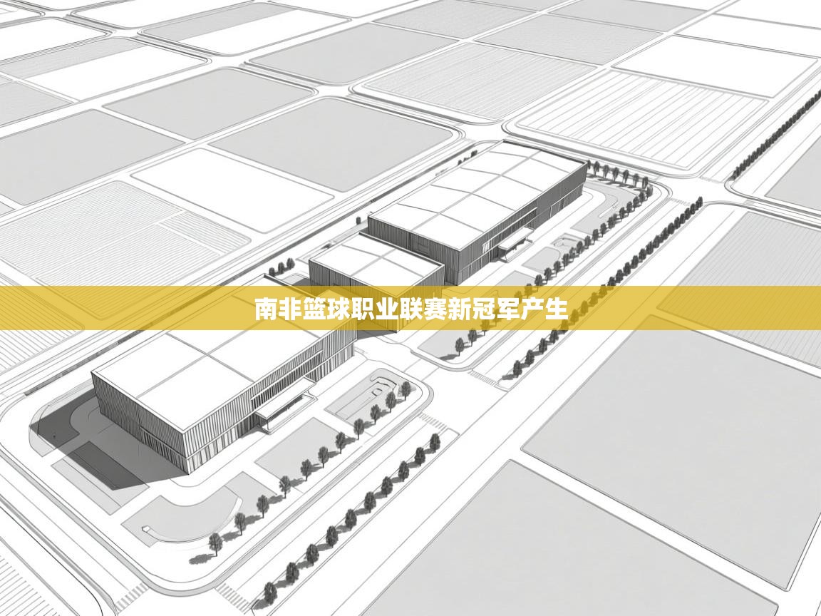 南非篮球职业联赛新冠军产生